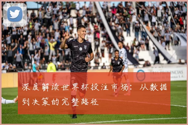 深度解读世界杯投注市场：从数据到决策的完整路径