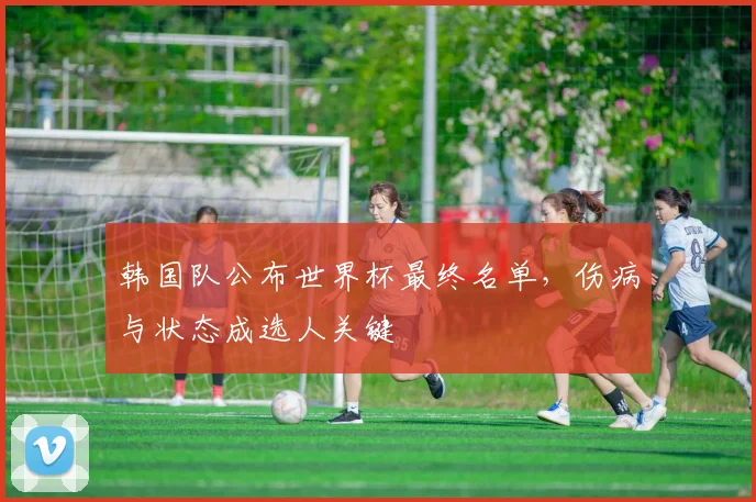 韩国队公布世界杯最终名单，伤病与状态成选人关键
