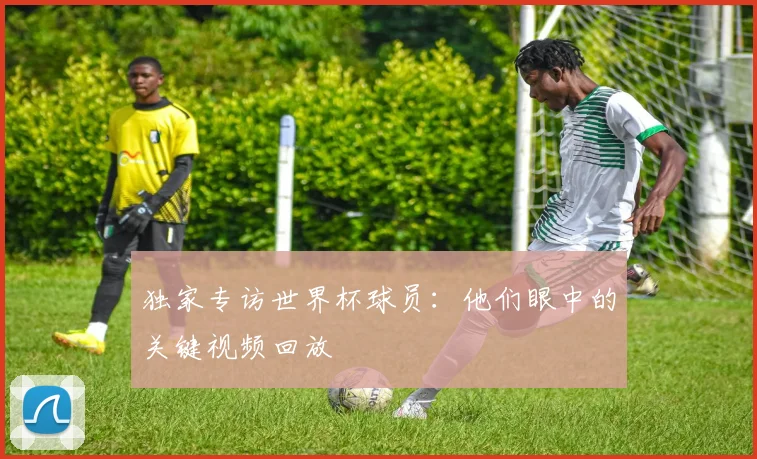 独家专访世界杯球员：他们眼中的关键视频回放