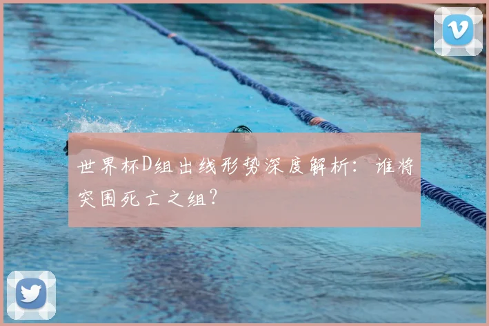 世界杯D组出线形势深度解析：谁将突围死亡之组？
