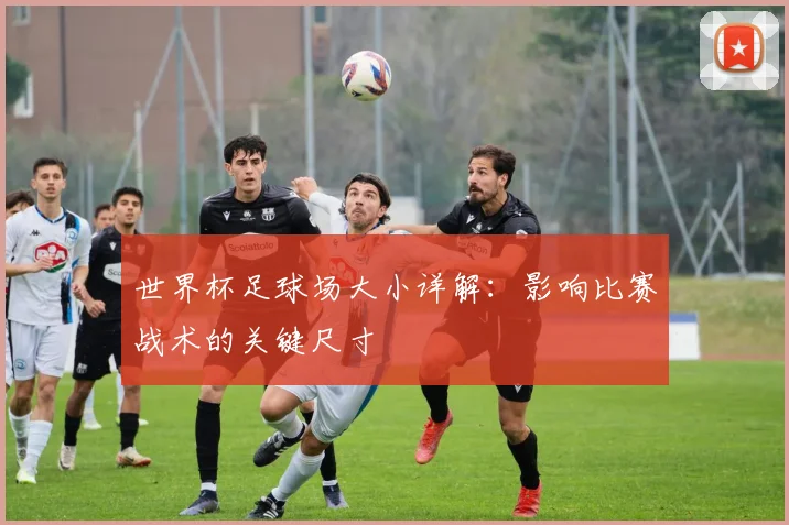 世界杯足球场大小详解:影响比赛战术的关键尺寸